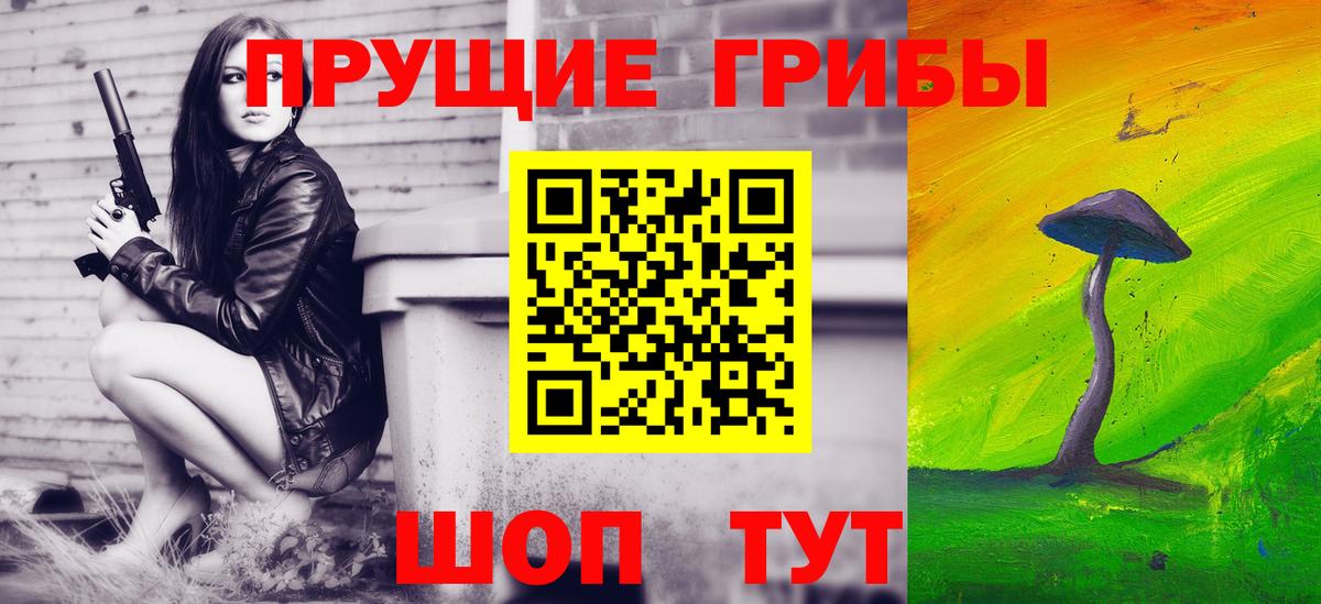 Галлюциногенные грибы Psilocybine cubensis Кохма
