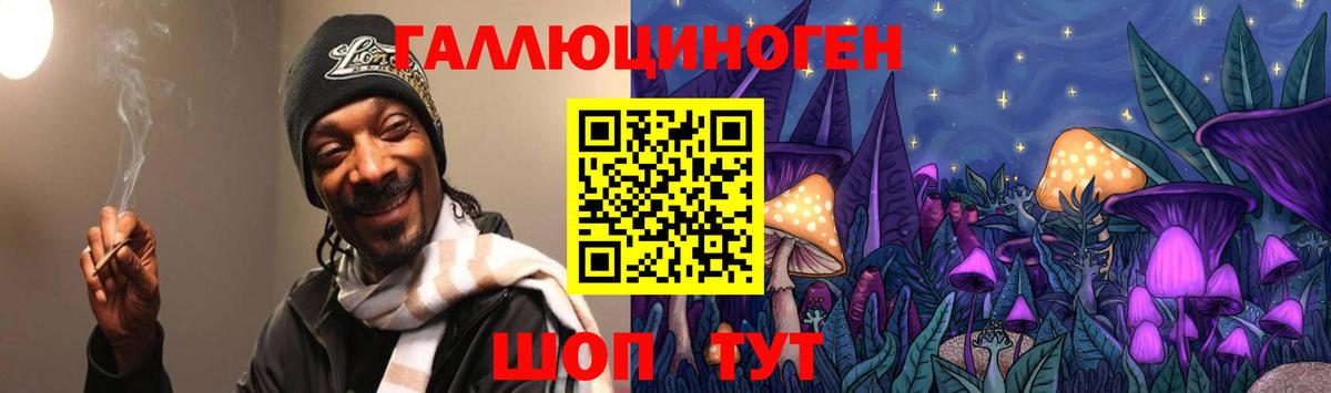 Псилоцибиновые грибы Psilocybe  Галлюциногенные грибы MAGIC MUSHROOMS  Кохма  купить закладку  Вход с VPN 